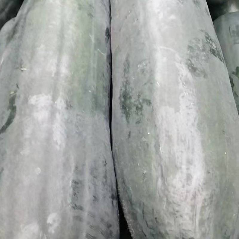 福建精品冬瓜大量有货15斤不封顶