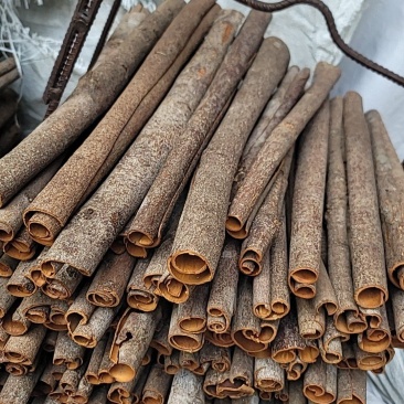 薄肉桂(桂通桂筒)黄亮当年季节新桂皮肉桂皮香辛料厨房香料