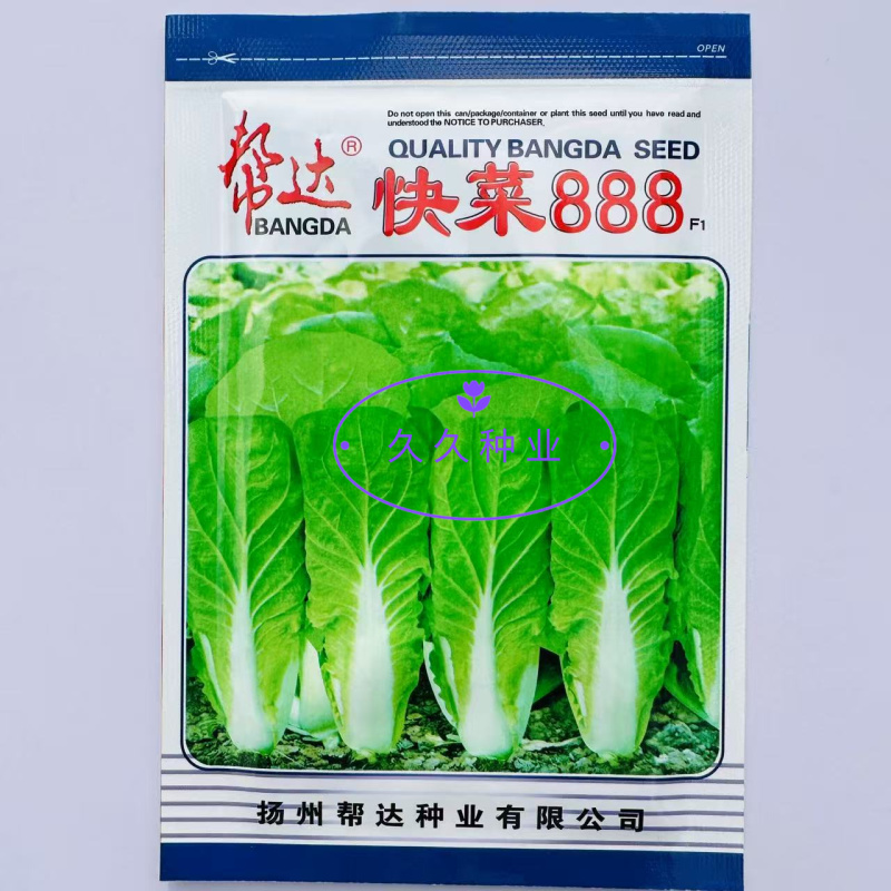 快菜888苦菜种子速生小白菜苗用型白菜无毛品质佳白菜籽