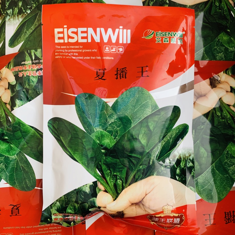 夏播王菠菜种籽丹麦进口特抗热菠菜种子夏季专用特抗病
