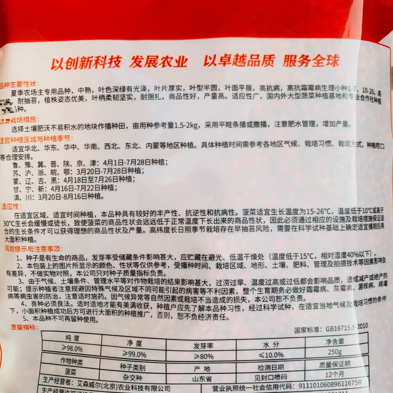 夏播王菠菜种籽丹麦进口特抗热菠菜种子夏季专用特抗病