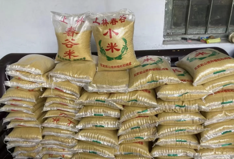 老家自己种的临朐正宗上林小米，好喝黏稠暖心又暖胃