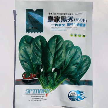 **黑秀菠菜种子一代杂交黑叶厚肉菠菜种子抗病直立性好