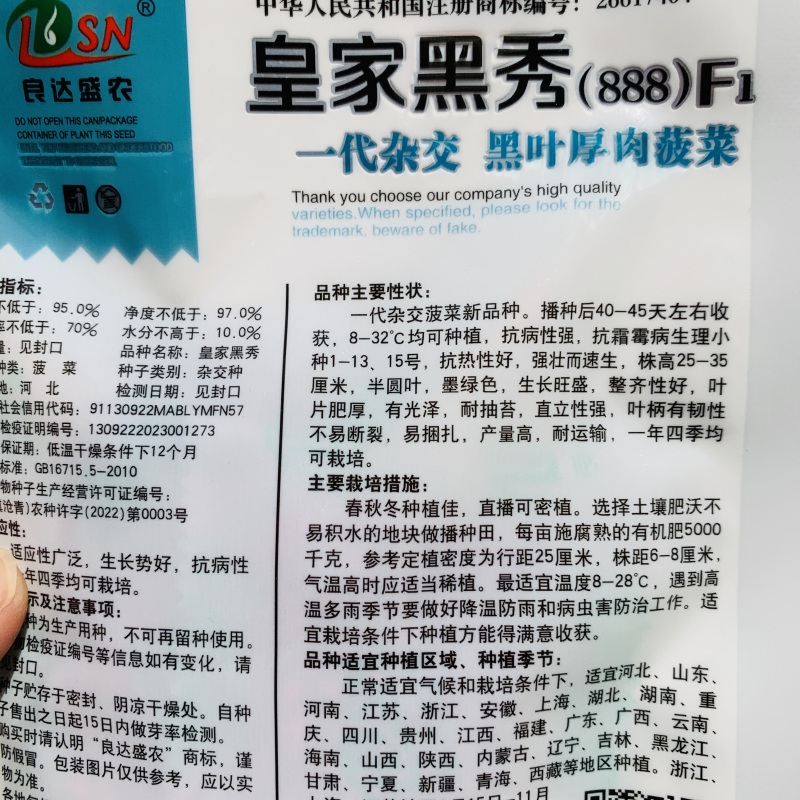 **黑秀菠菜种子一代杂交黑叶厚肉菠菜种子抗病直立性好