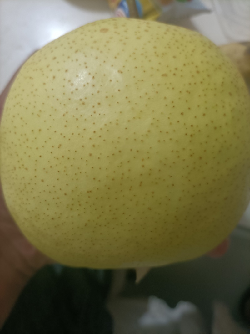 云南泸西雪花梨大量上市中，可供货3个月，口感好