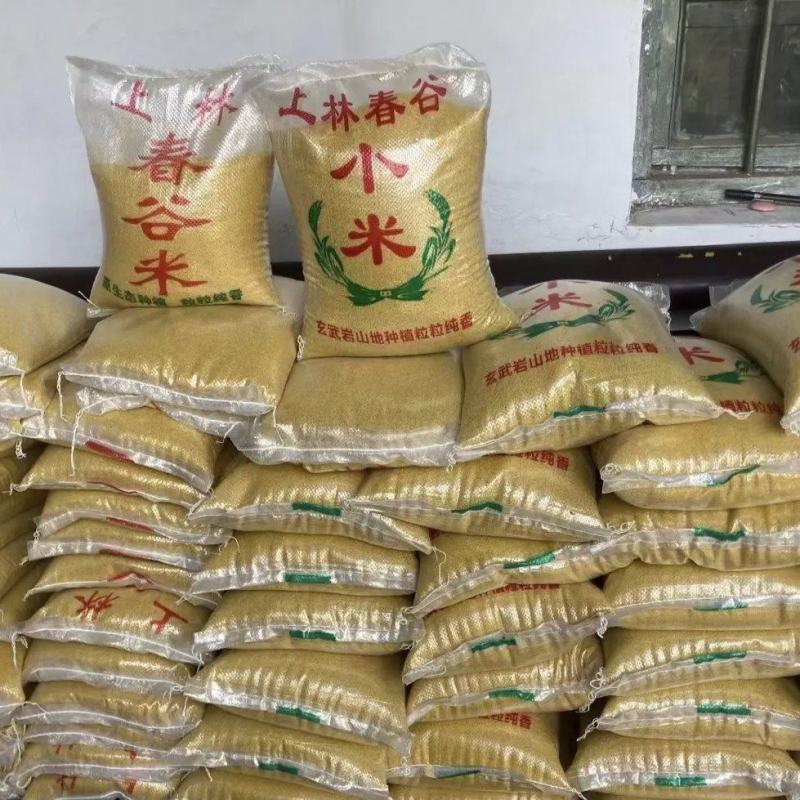 临朐正宗上林小米