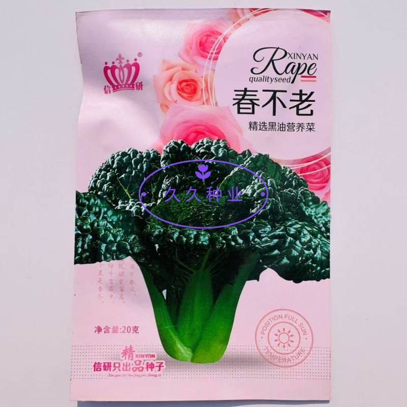 春不老精选黑有油营养菜青菜种子抗寒性强抽苔晚大田用