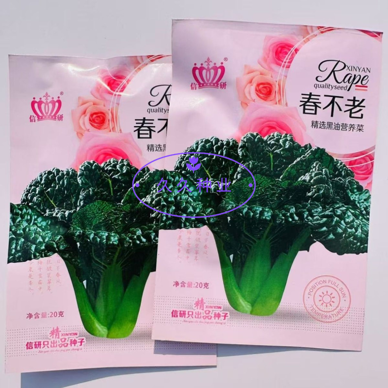 春不老精选黑有油营养菜青菜种子抗寒性强抽苔晚大田用