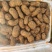 新鲜天麻，基地一手货源，大量供应，货源稳定
