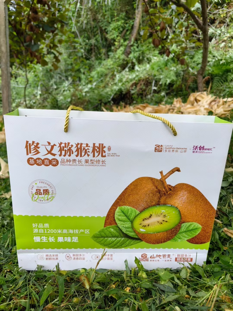 贵州修文正宗贵长猕猴桃