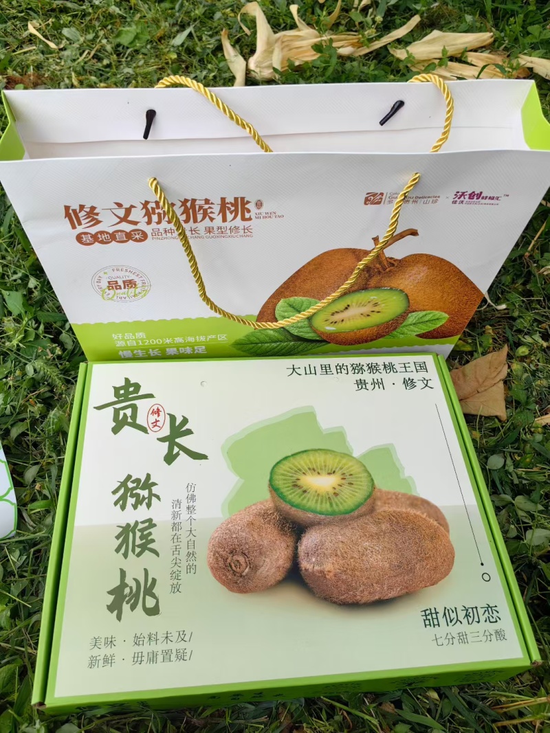 贵州修文正宗贵长猕猴桃