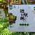 贵州修文正宗贵长猕猴桃
