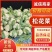 菜花实花散花产地直供一手货源代发全国