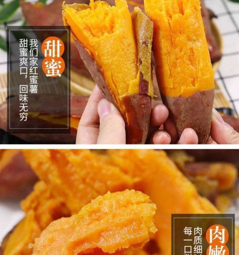 糖心蜜薯沙地蜜薯红薯新鲜现挖地瓜番薯批发价红芋山芋超甜糯