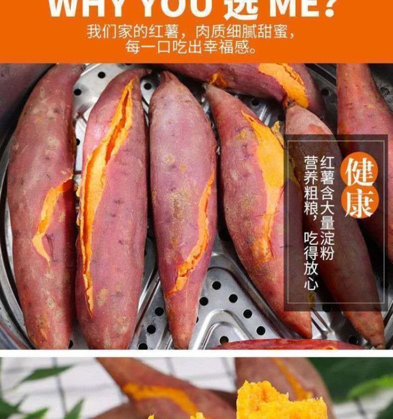 糖心蜜薯沙地蜜薯红薯新鲜现挖地瓜番薯批发价红芋山芋超甜糯