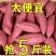 糖心蜜薯沙地蜜薯红薯新鲜现挖地瓜番薯批发价红芋山芋超甜糯