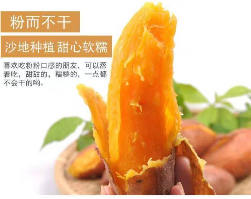 糖心蜜薯沙地蜜薯红薯新鲜现挖地瓜番薯批发价红芋山芋超甜糯