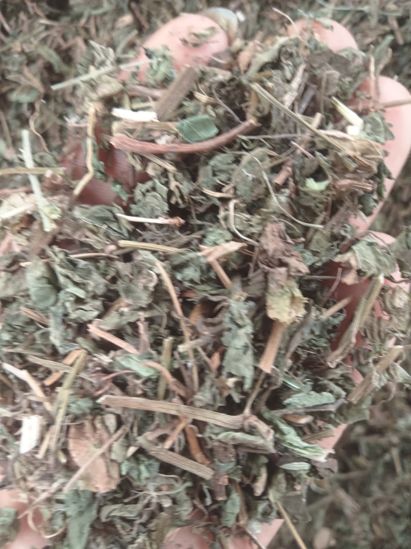 中药材绞股蓝，绞股蓝片规格齐全，可供大货量大从优