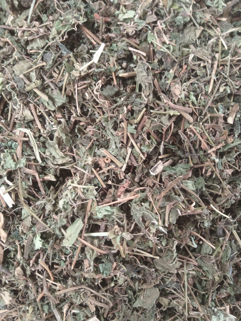 中药材绞股蓝，绞股蓝片规格齐全，可供大货量大从优