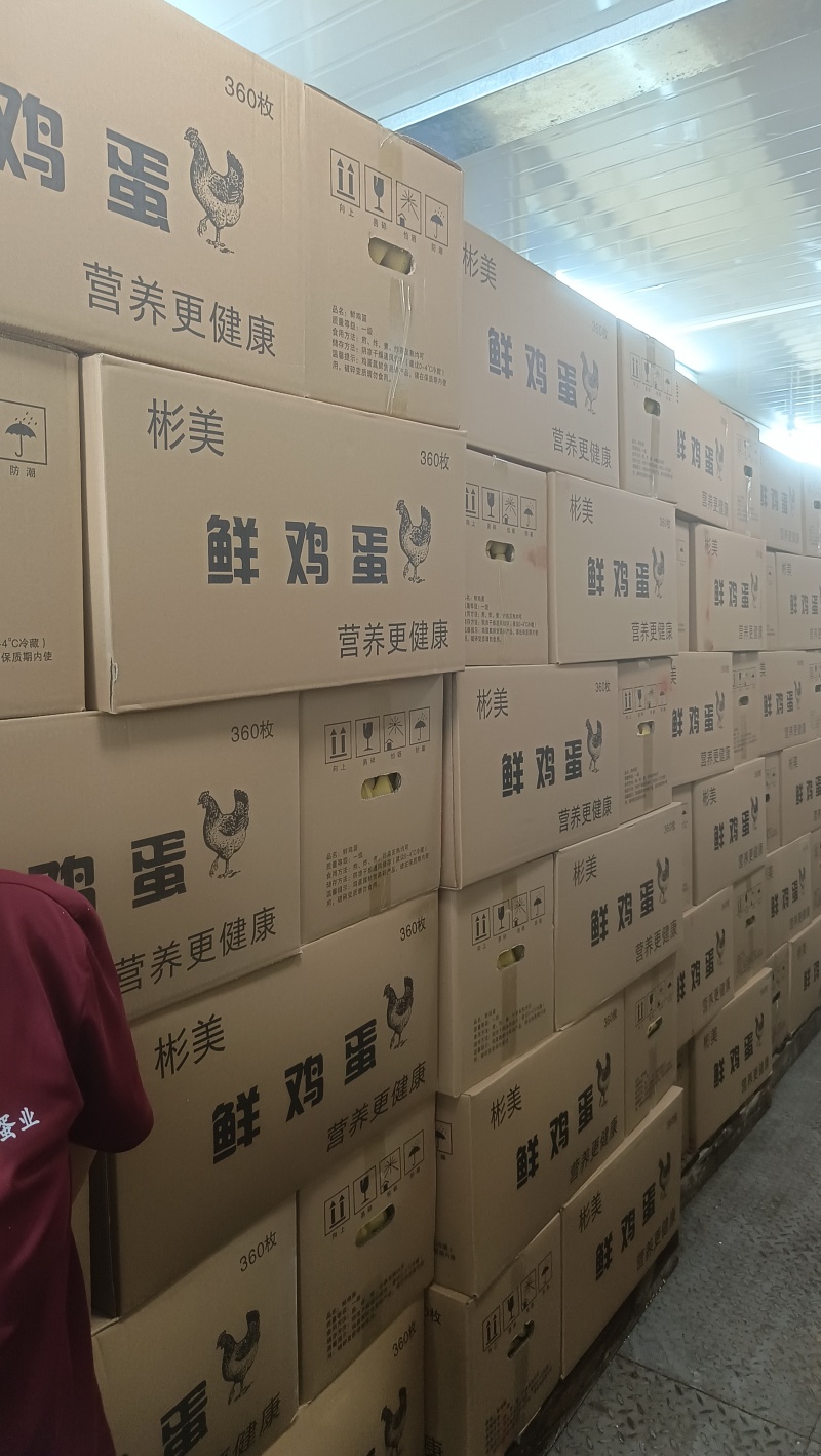 各种码数鸡蛋