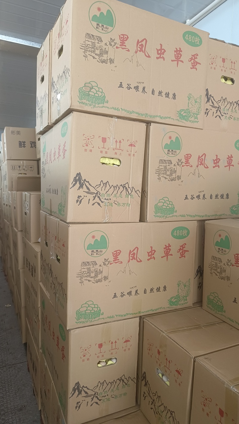 各种码数鸡蛋
