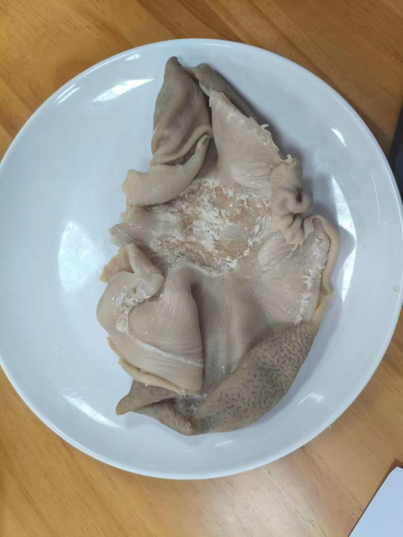 全熟猪肚