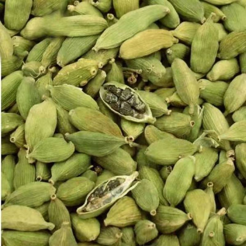 批发绿豆蔻新货500克绿扣小豆蔻绿豆寇青砂仁小豆蔻