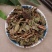 火炭母500g中药材火炭星火炭藤白饭草白饭藤信饭