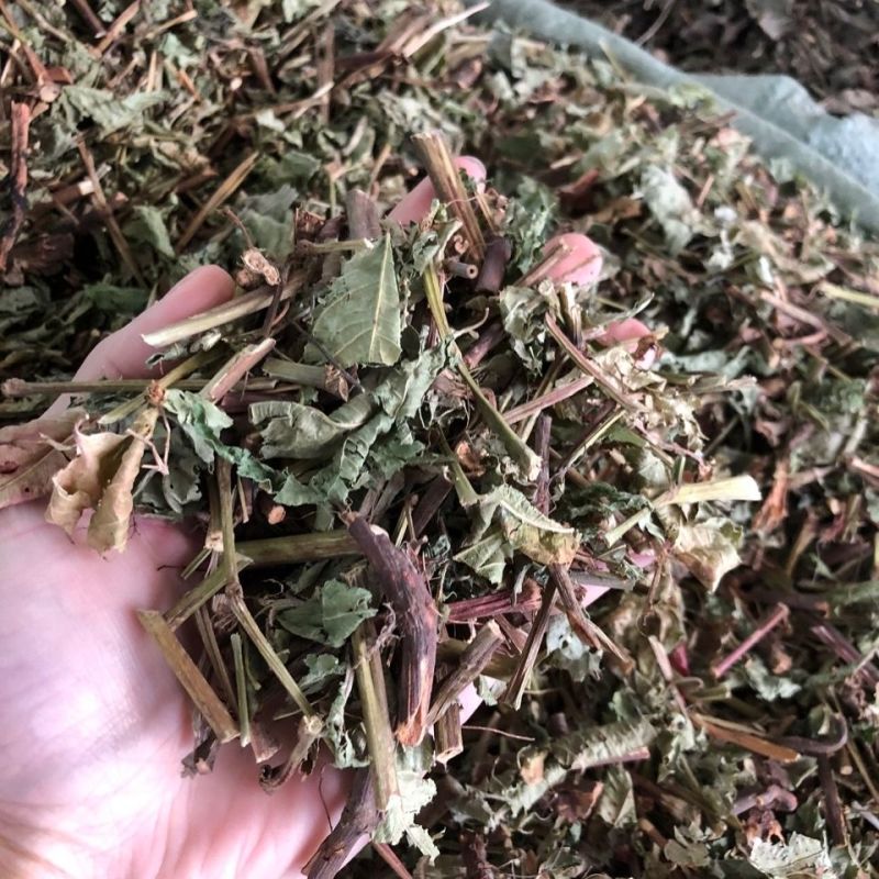 火炭母500g中药材火炭星火炭藤白饭草白饭藤信饭