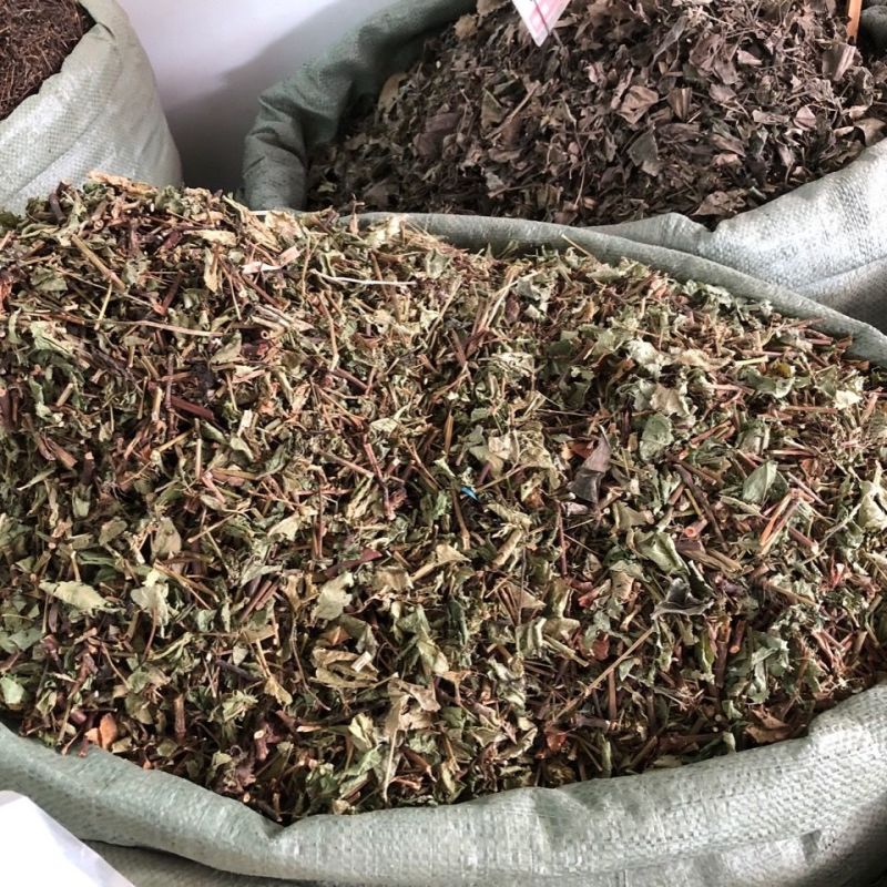 火炭母500g中药材火炭星火炭藤白饭草白饭藤信饭