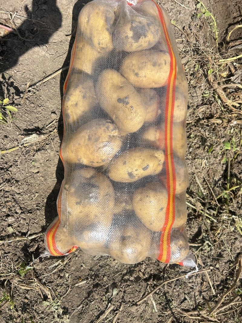 尤金885大量有货