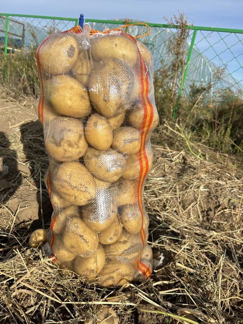 尤金885大量有货
