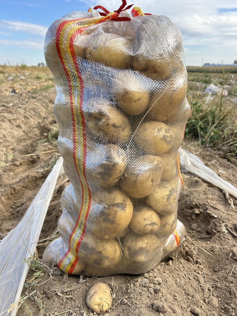 尤金885大量有货