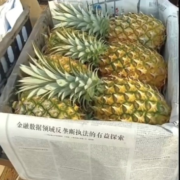 菠萝