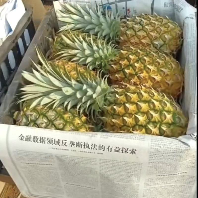 菠萝