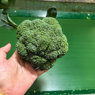 西兰花