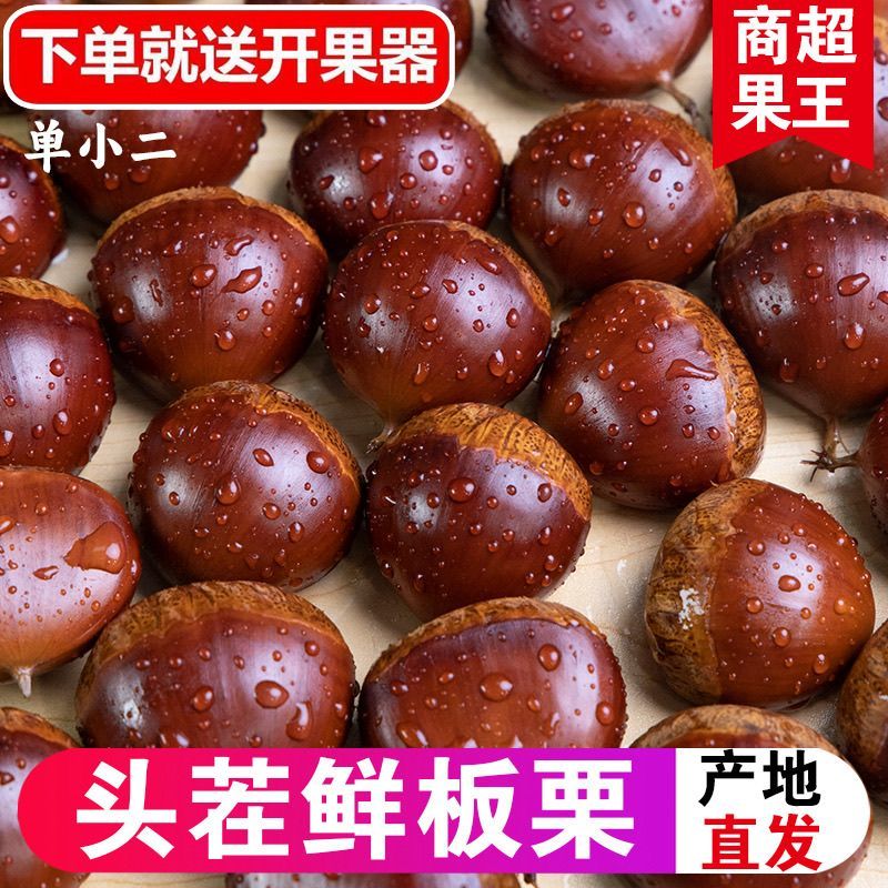 山东头茬板栗支持一件代发对接各大电商平台