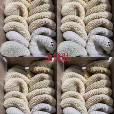 迪利鑫金钱肚