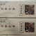 明盛金钱肚