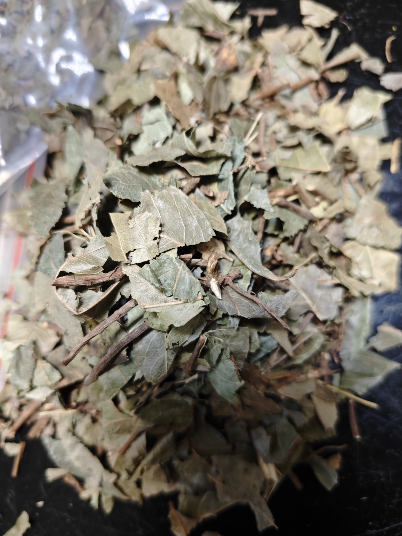 平地木矮地茶