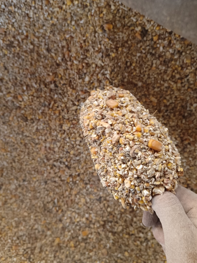 过筛玉米碎