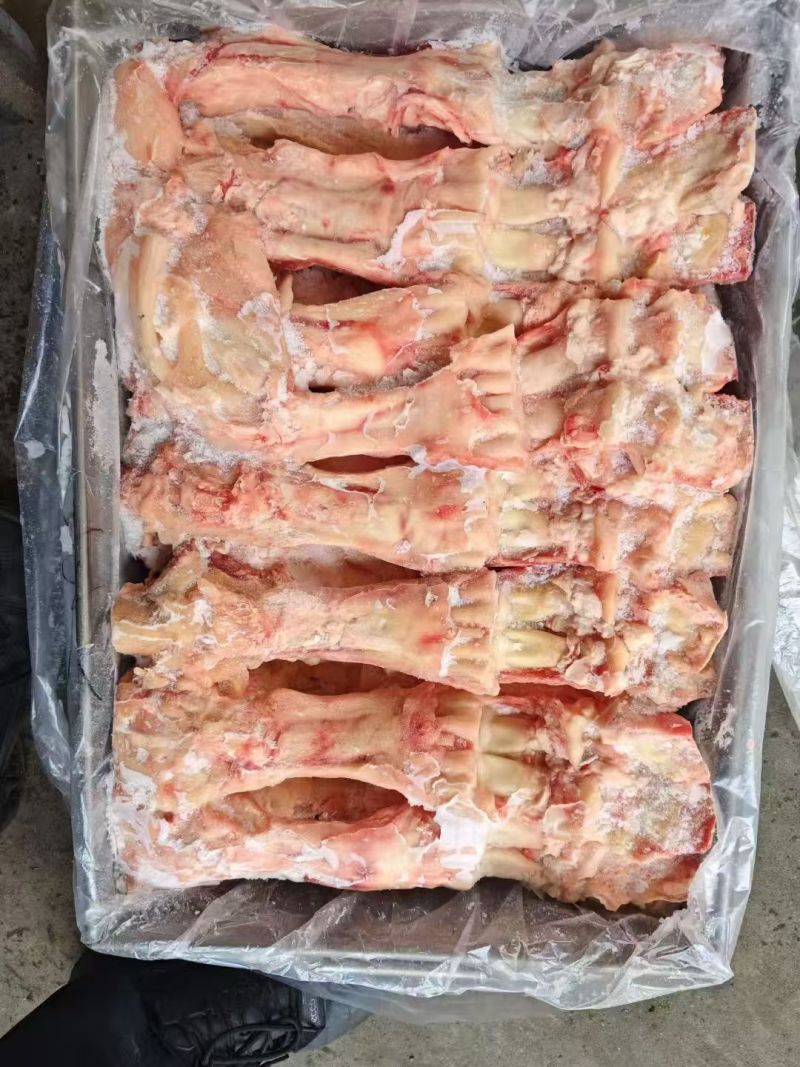 生牛蹄筋