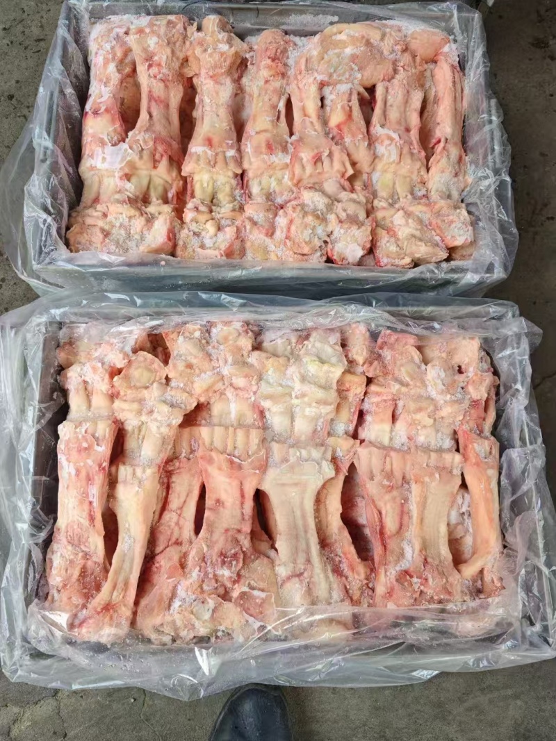 生牛蹄筋