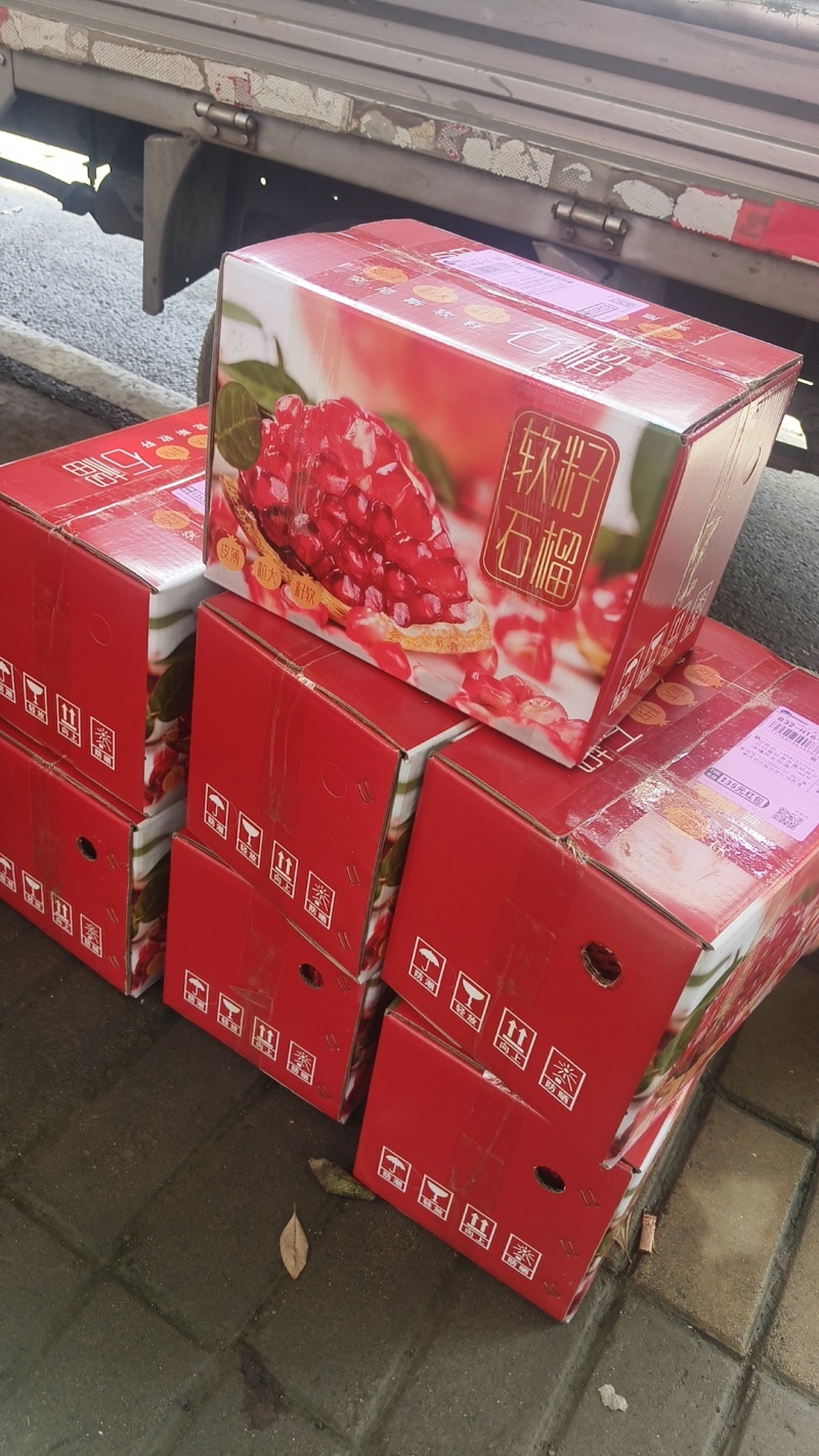 会理市突尼斯软籽石榴！