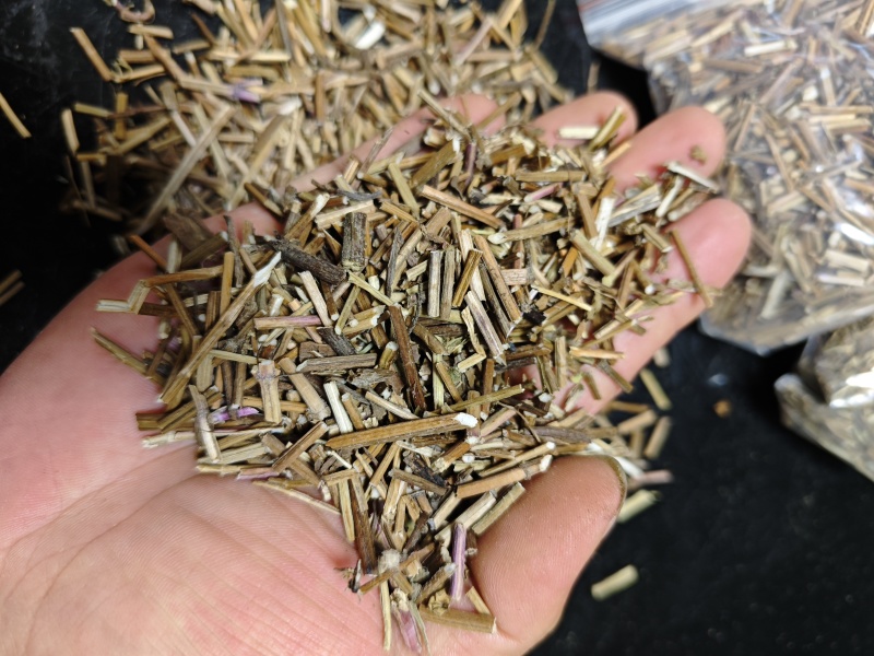 夏枯草