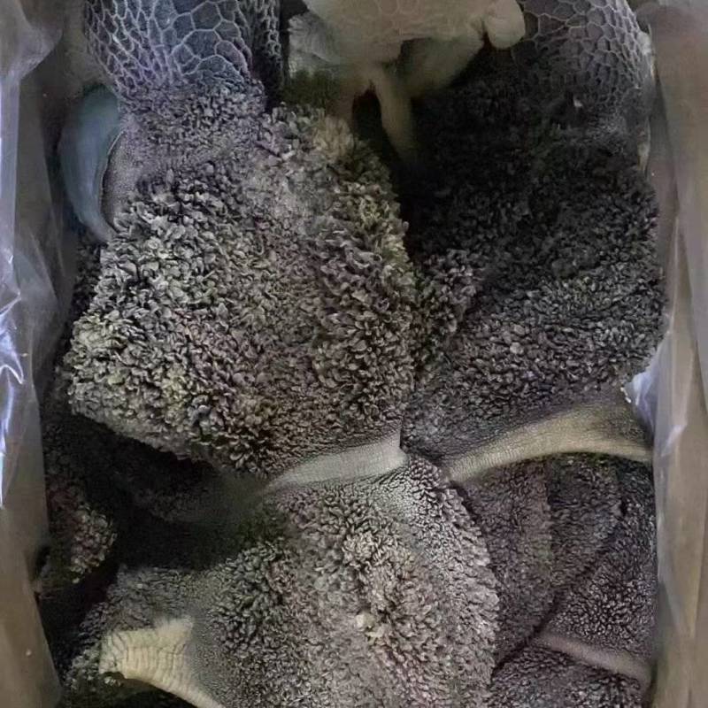 羊毛肚常年有货品质保证欢迎下单诚信买卖