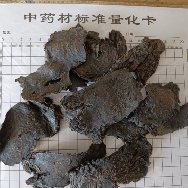 肉苁蓉，肉苁蓉片，甜，大芸，实拍现货，24小时内发货