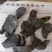肉苁蓉，肉苁蓉片，甜，大芸，实拍现货，24小时内发货