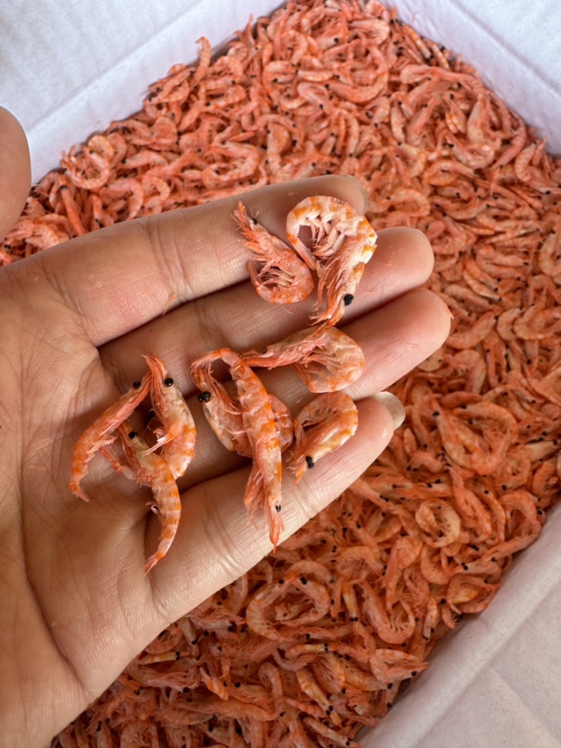 优质磷虾，南极磷虾，颜色好，干度好，中小个头，