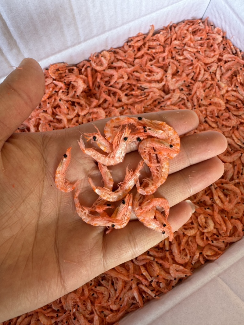 优质磷虾，南极磷虾，颜色好，干度好，中小个头，
